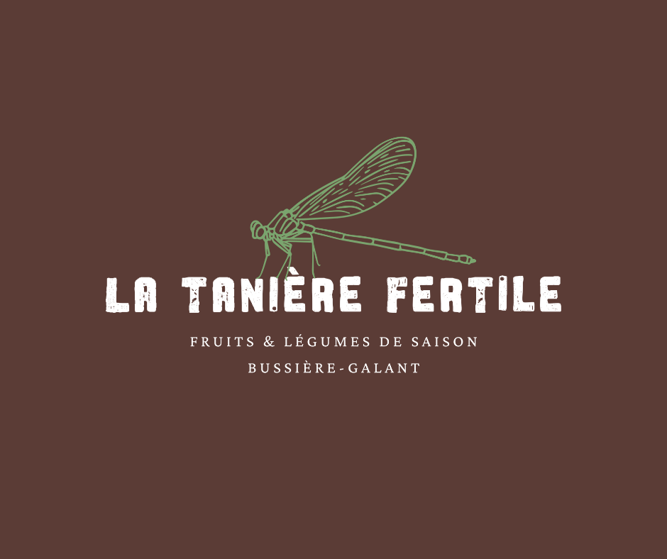 Logo de La Tanière Fertile, maraîchage biologique de saison à Bussière-Galant
